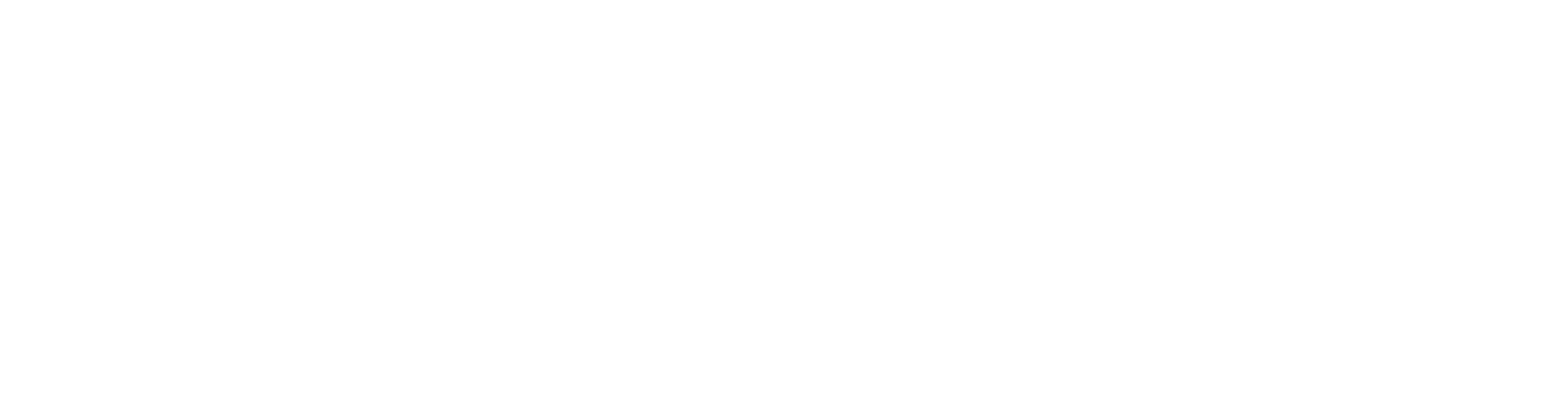 FLINTpro logo